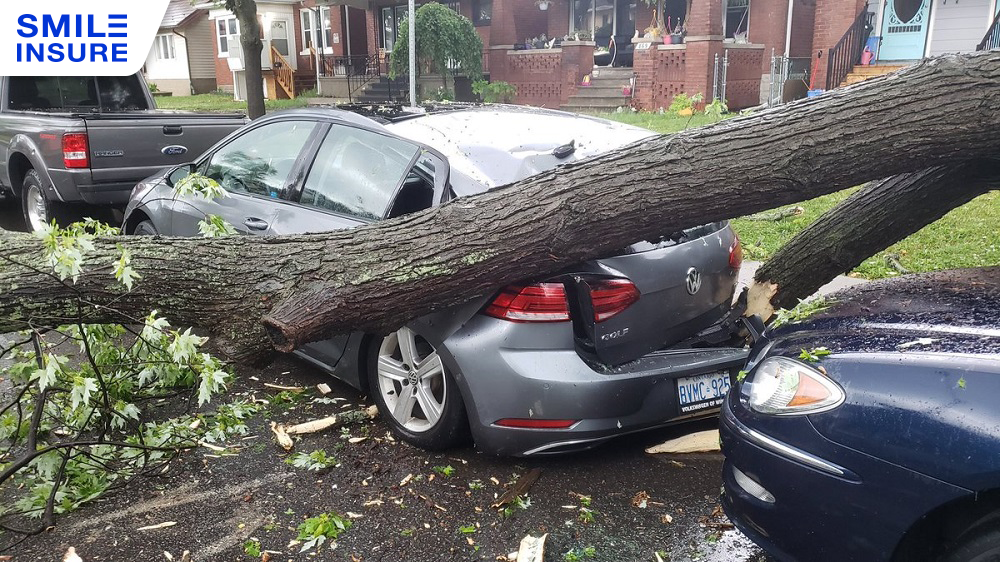 พายุเข้า ต้นไม้ล้มใส่รถ ประกันรับผิดชอบไหม? | SMILE INSURE 